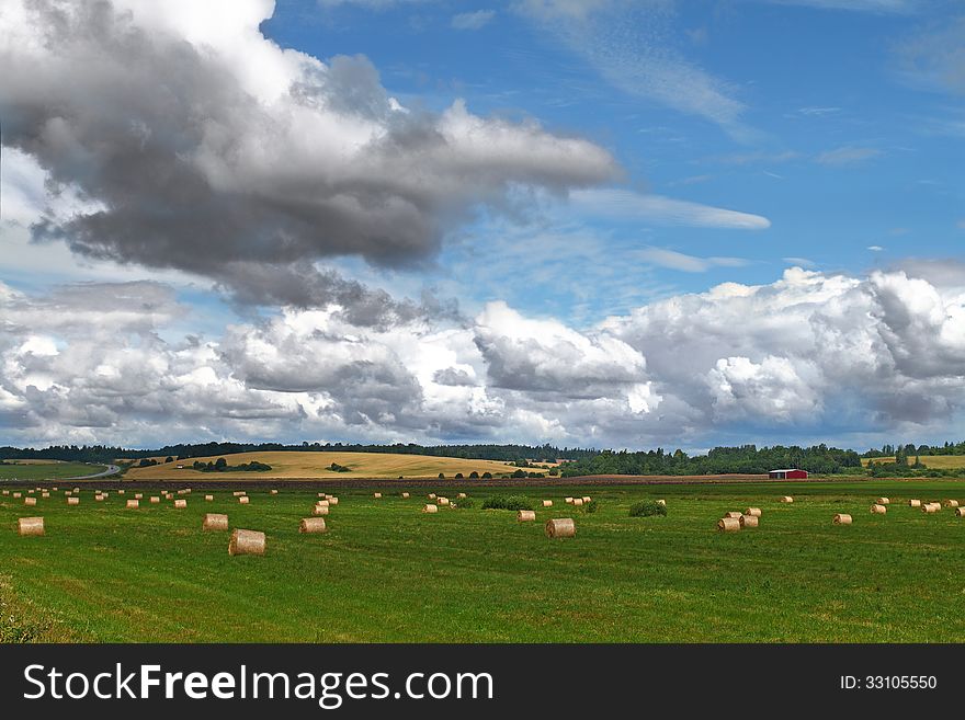 Straw rolls on green field under cloudy sky. Rural landscape. Straw rolls on green field under cloudy sky. Rural landscape