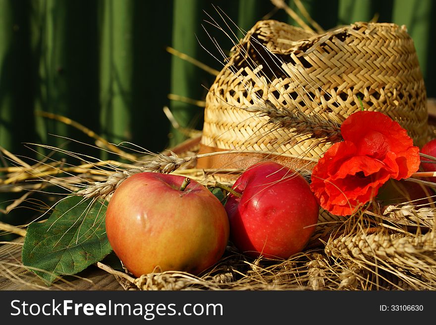 Apples, Wheat, Poppy And Hat