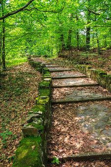 Winding Stone Steps With Foliage Vertical Royalty Free Stock Photo Winding Stone Steps With Foliage Vertical Royalty Free Stock Photo