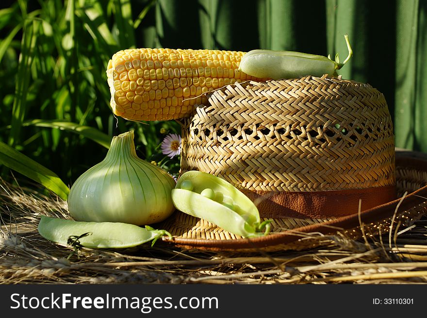 Summer vegetable still life with a green pot, corn, onions and straw hat. Summer vegetable still life with a green pot, corn, onions and straw hat.