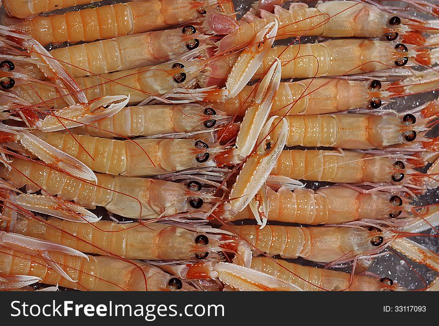 Scampi on sale at market