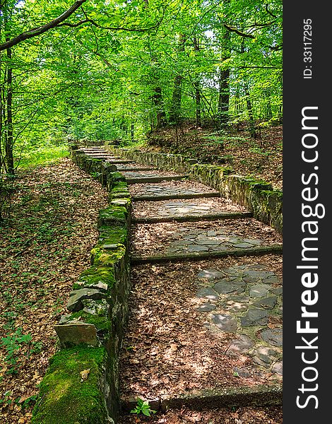 Winding path with steps made ​​of stone among the trees in a city park is covered with foliage vertical. Winding path with steps made ​​of stone among the trees in a city park is covered with foliage vertical