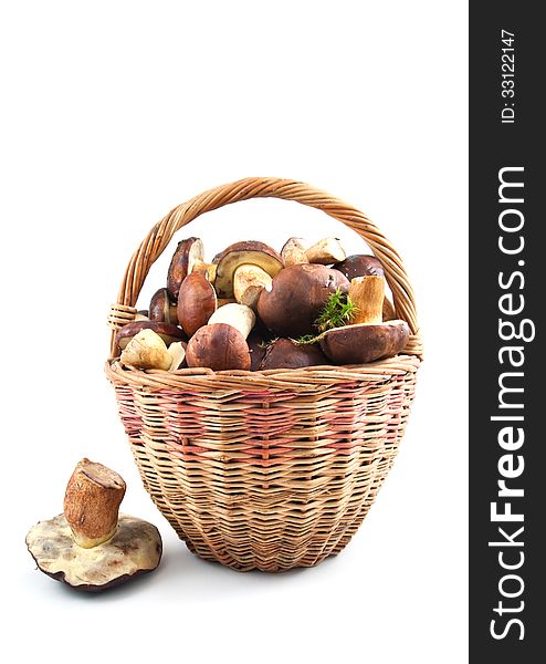 Basket Mushrooms
