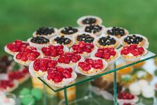 Mini Fruits Tarts Royalty Free Stock Photography Mini Fruits Tarts Royalty Free Stock Photography