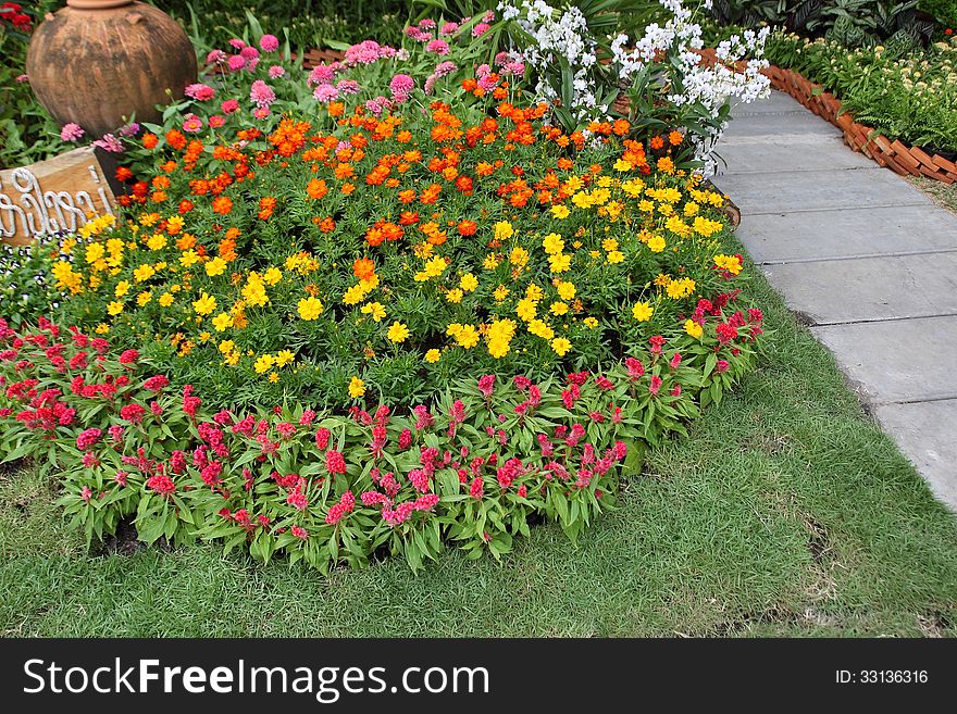 Flowers in the park in thailand.