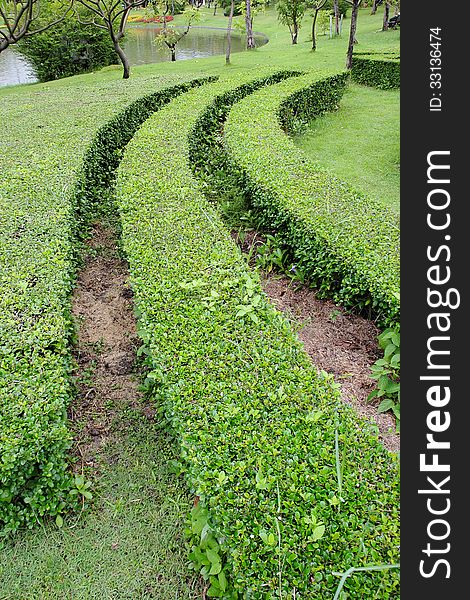 Decorative green park in thailand