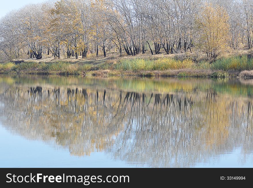 Trees in autumn, city of Orenburg, Southern Ural, Russia