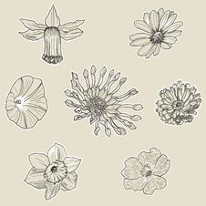 Set Of Seven Graphic Flowers Stock Photos Set Of Seven Graphic Flowers Stock Photos