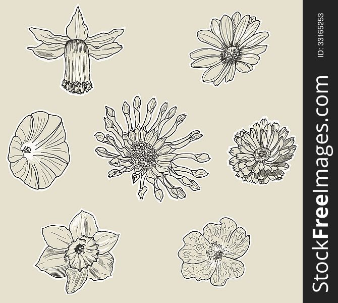 Set of seven graphic flowers. Hand drawn floral design.