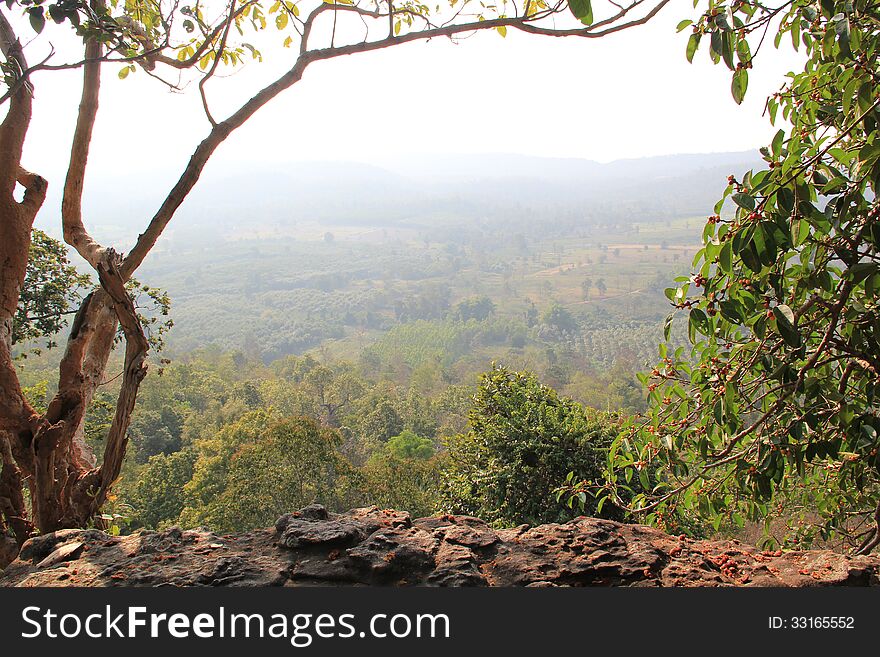 Nature cliff and tropical plant at Phu Phra Bat Historical Park in Udon Thani Thailand.