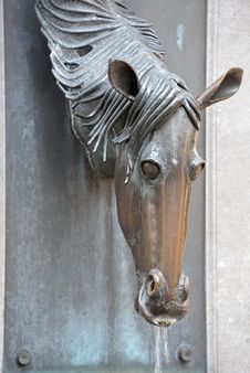 Horse Head Stock Photos Horse Head Stock Photos