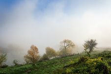 Thick Fog On Autumn Embankment Royalty Free Stock Images Thick Fog On Autumn Embankment Royalty Free Stock Images