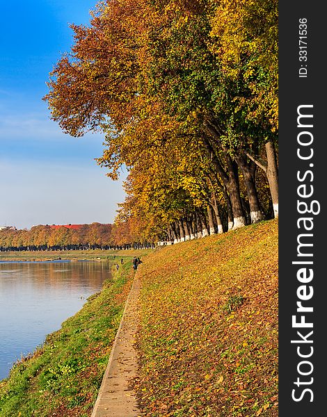 Yellow autumn foliage on the embankment and the clear blue sky reflected in the river vertical. Yellow autumn foliage on the embankment and the clear blue sky reflected in the river vertical