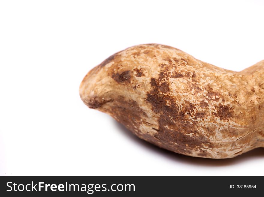 Peanut  on a white background. Macro.