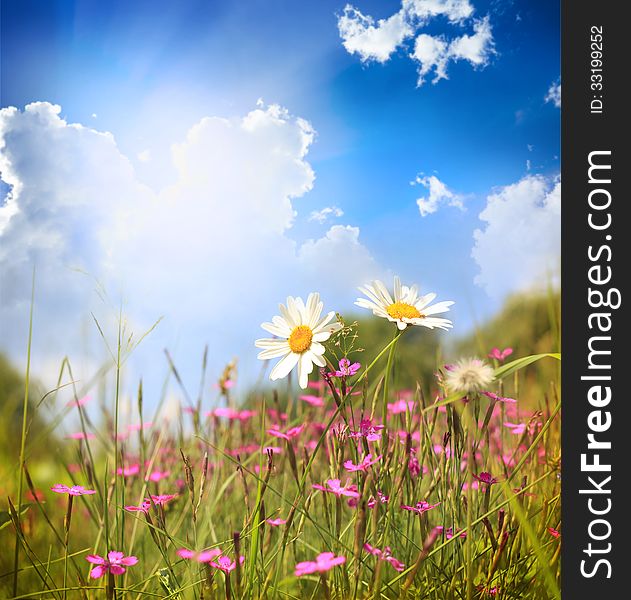 Beautiful spring background with flowers. Beautiful spring background with flowers