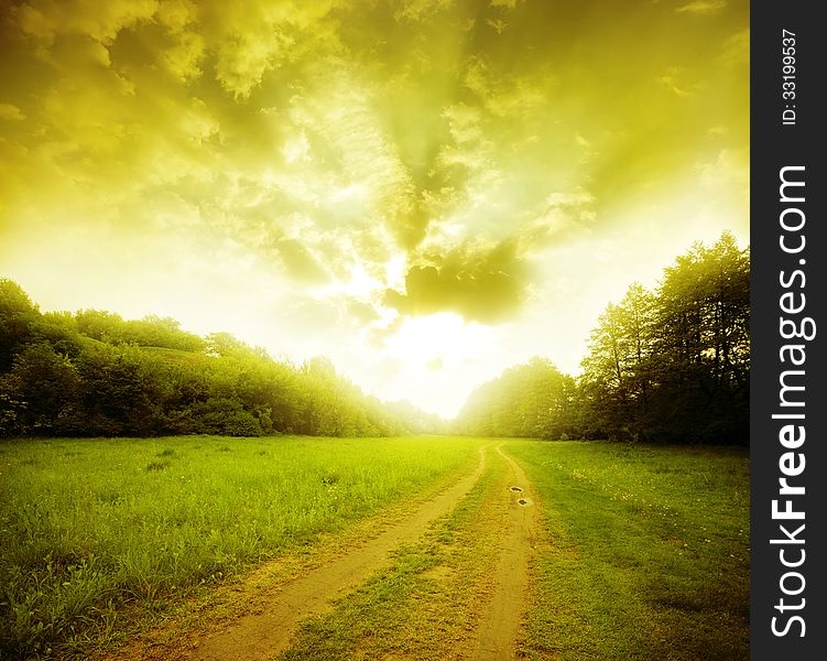 Rural road through the field