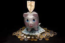 Piggy Bank With Money And Coins Stock Image
