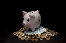 Piggy Bank With Money Stock Photography