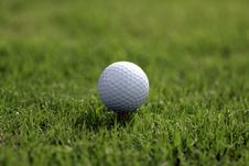 Golf Ball Tee Grass Stock Photo Golf Ball Tee Grass Stock Photo