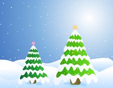 Christmas Trees / Card Stock Image