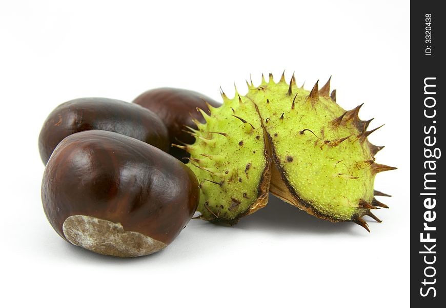 Three chestnuts with shell. Isolated on white. Three chestnuts with shell. Isolated on white.