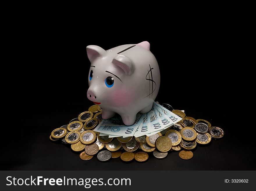 Piggy Bank With Money