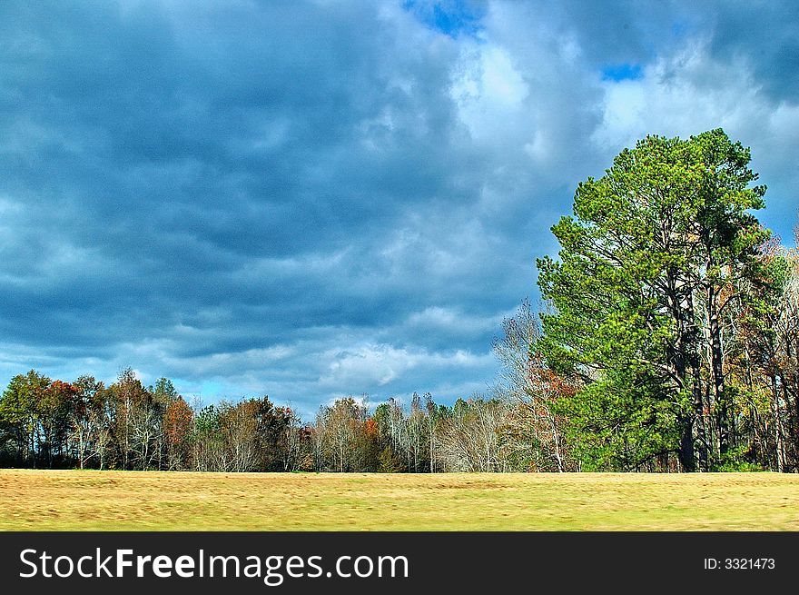 Field with wooded area in background and blue cloudy skies. Field with wooded area in background and blue cloudy skies