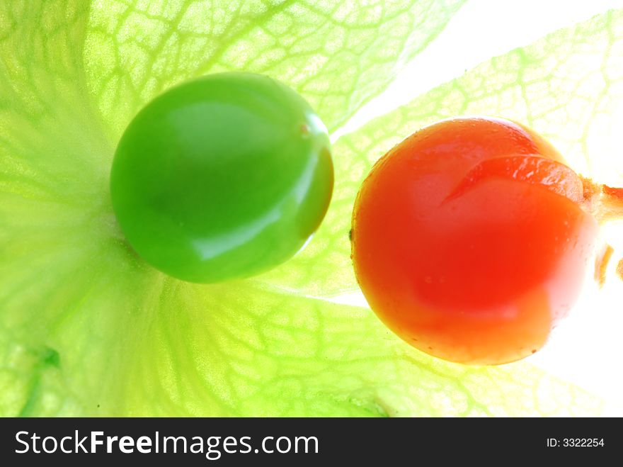 Inside of green and red physalis