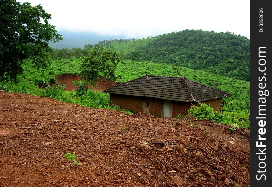 A beautiful village house in the greenery. A beautiful village house in the greenery.