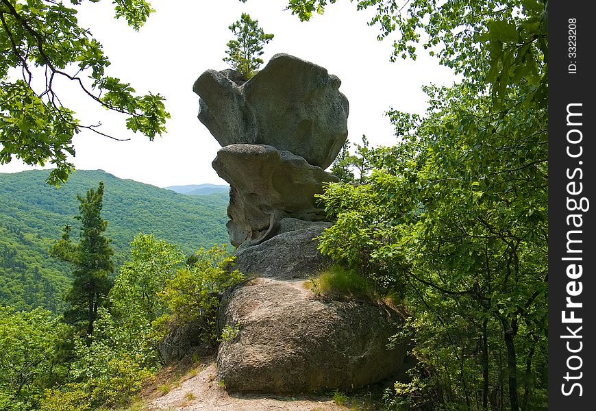 The huge granite grey rock among forest. The form of rock is as huge stone flower. Russian Far East, Primorye. The huge granite grey rock among forest. The form of rock is as huge stone flower. Russian Far East, Primorye.