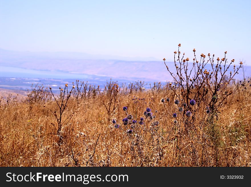 Mountains and nature in Galilee, Israel - travel vacation in  Middle East. Mountains and nature in Galilee, Israel - travel vacation in  Middle East