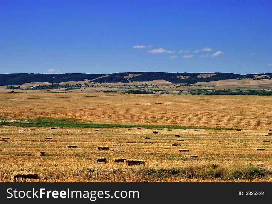 Field and hill landscape view with yellow and blue as dominating colors. Field and hill landscape view with yellow and blue as dominating colors