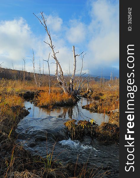 Creek among mountains with boggy coastt