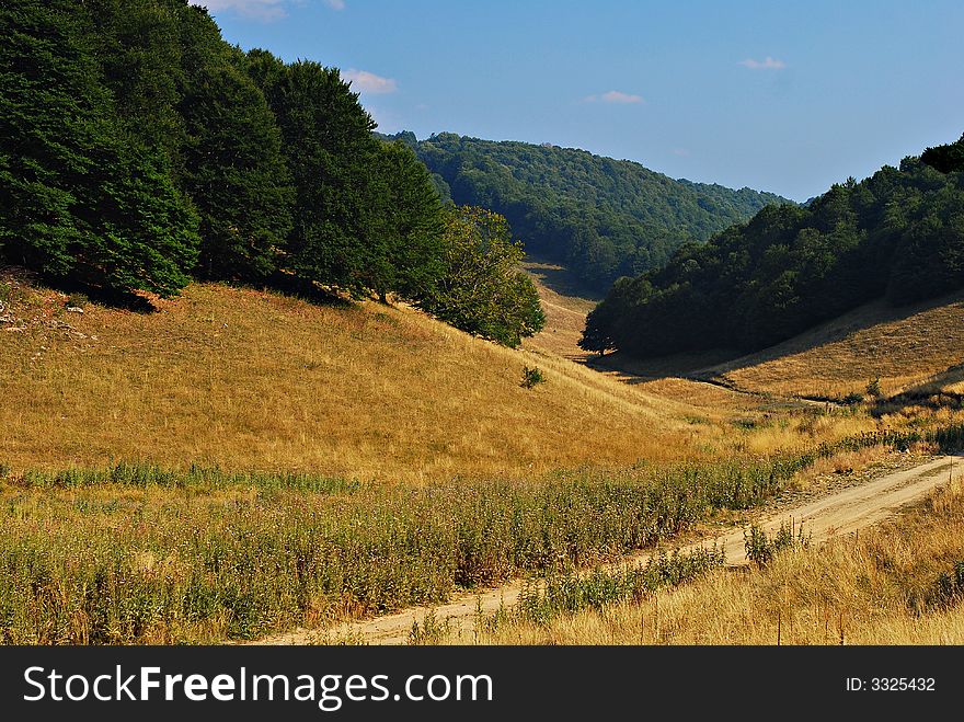 Valley path yellow meadows forrest. Valley path yellow meadows forrest