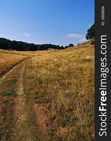 Field and hill landscape view with yellow and blue as dominating colors. Field and hill landscape view with yellow and blue as dominating colors