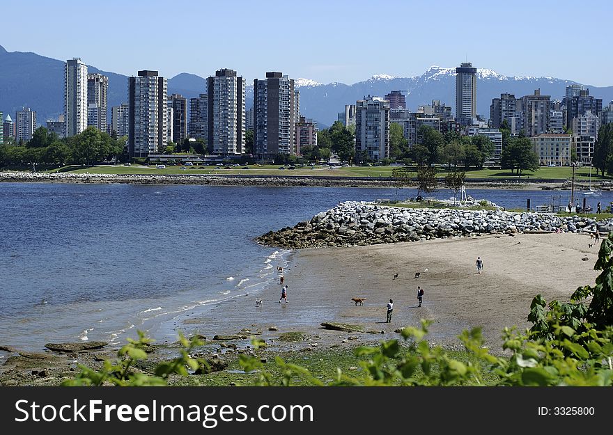 The beach for dogs and their owners with Vancouver downtown skyline in a background (British Columbia, Canada). The beach for dogs and their owners with Vancouver downtown skyline in a background (British Columbia, Canada).