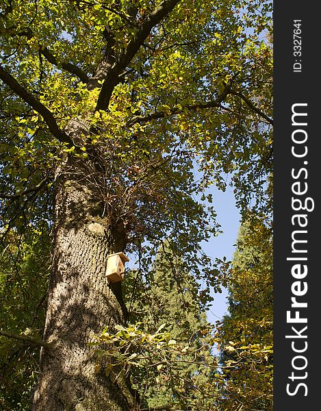 Autumn in the park in Krasiczyn.