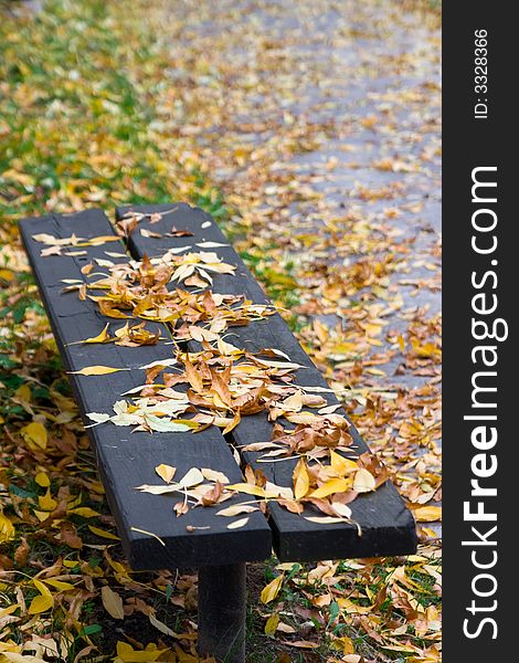 Bench in a park on autumn. Bench in a park on autumn