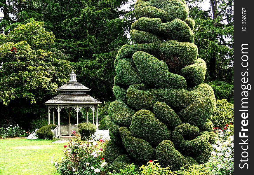 A shot of a gazebo and a tree that has been shaped with topiary. A shot of a gazebo and a tree that has been shaped with topiary.