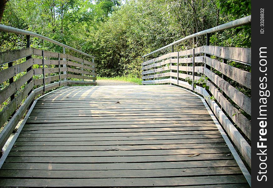 A bridge on a pond with a particular form in a big park. A bridge on a pond with a particular form in a big park