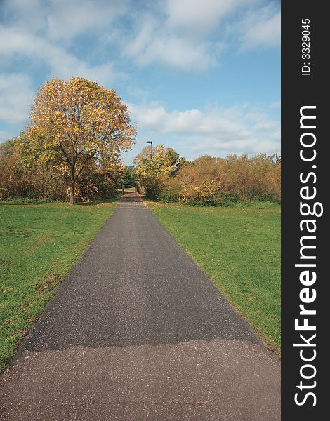 A picture of a trail converging toward autumn trees. A picture of a trail converging toward autumn trees