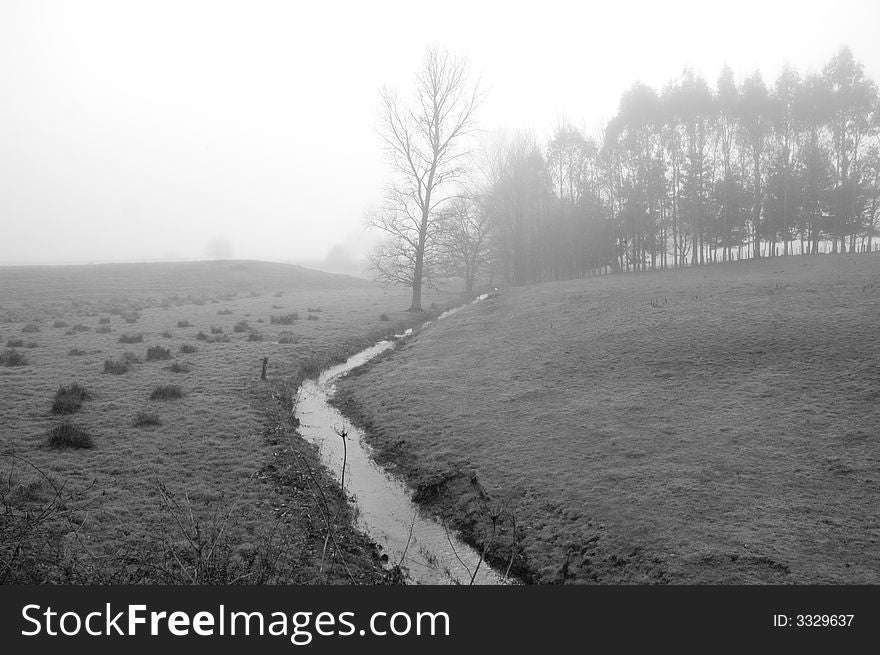 Farm paddock with stream on a foggy winter morning. Farm paddock with stream on a foggy winter morning.