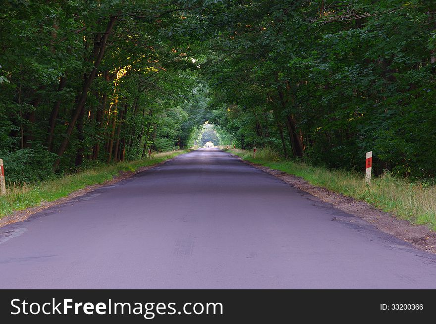 The photograph shows an asphalt road running by deciduous forest. Growing trees beside the road on her picturesque form a tunnel. The photograph shows an asphalt road running by deciduous forest. Growing trees beside the road on her picturesque form a tunnel.