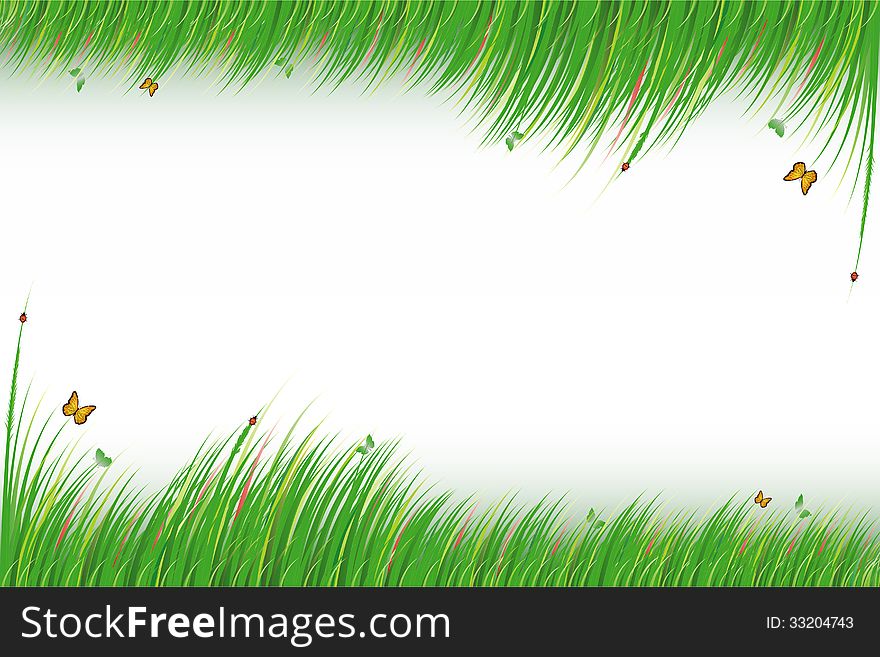 Green grass isolated on white background.,vector illustration