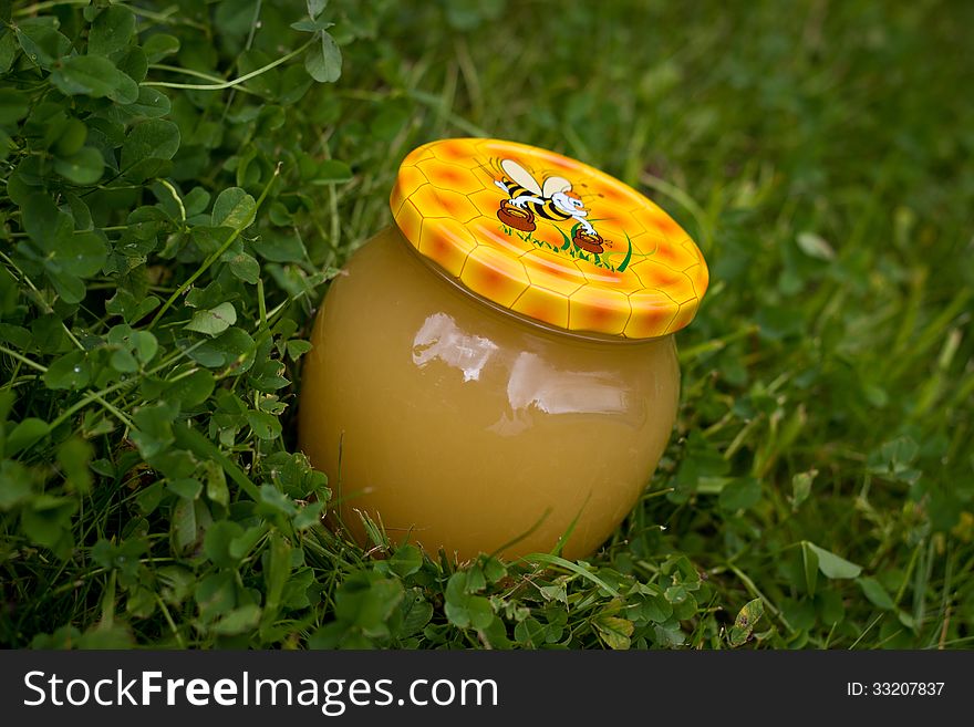 Nice gift jar of honey on grass background