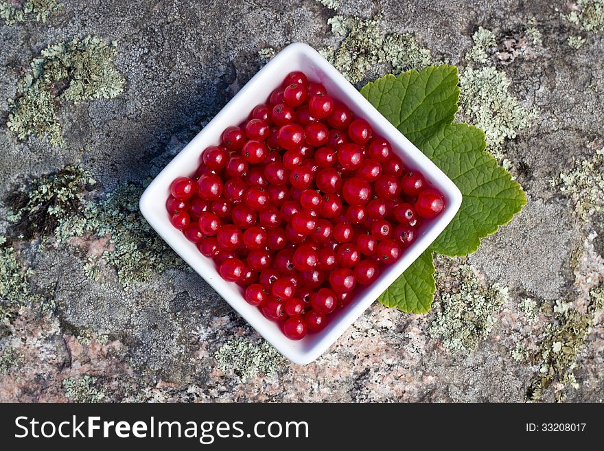 Redcurrants in a morern square bowl on stone background