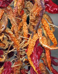 Dried Red Chillies Royalty Free Stock Images