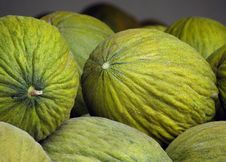 Melons Royalty Free Stock Image Melons Royalty Free Stock Image
