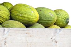 Melons Stock Photos Melons Stock Photos