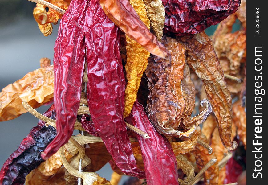 Large variety of dried red chillies